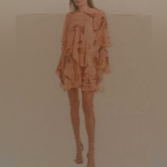 Ted Baker London Dresses & Skirts - Ted Baker Pegaia Mini Dress